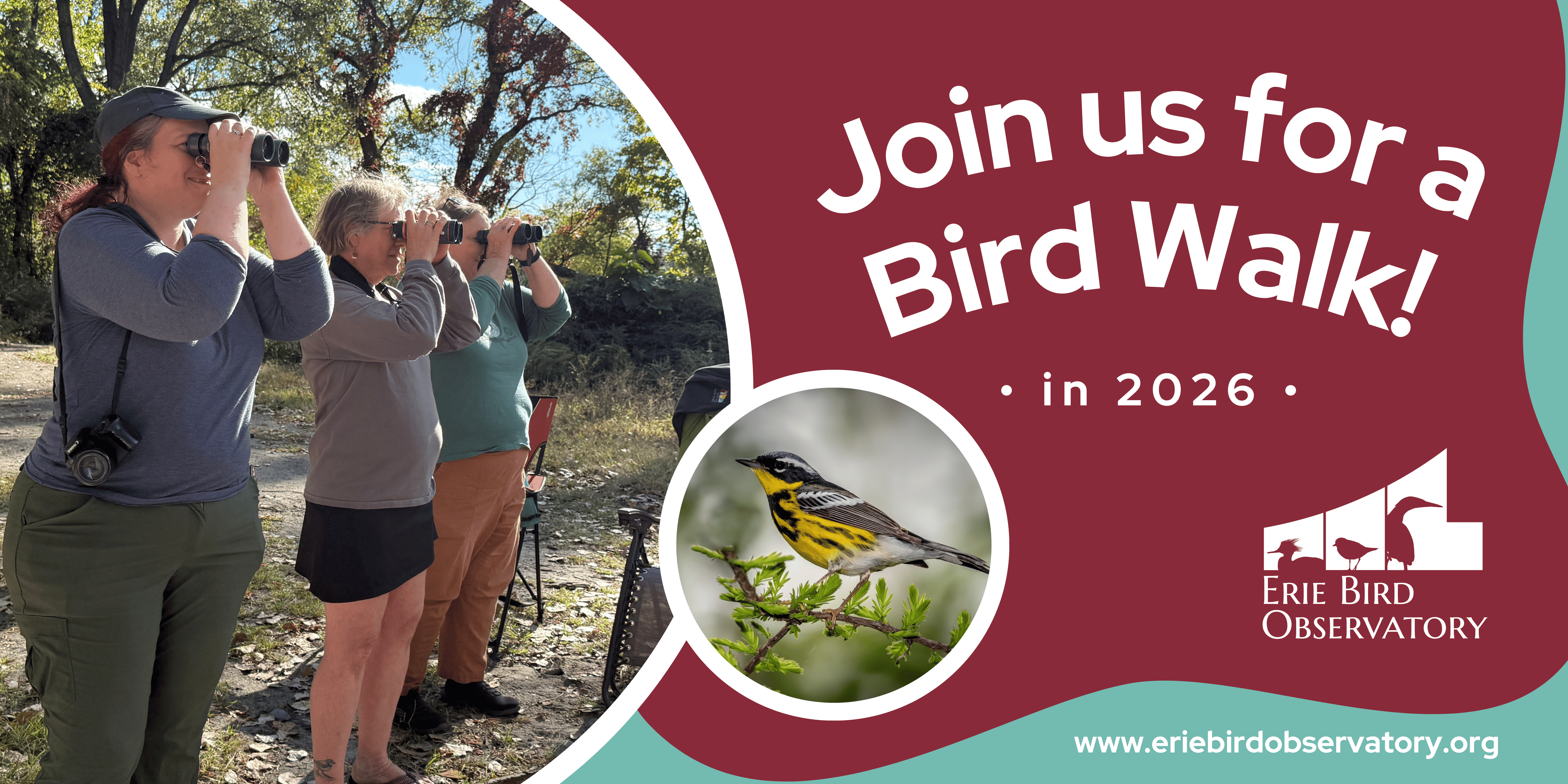 Bird Walk Templates for Bloomerang (2).png